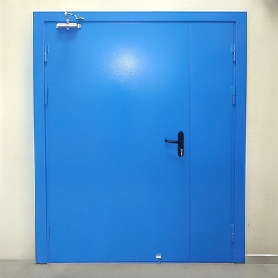 Синяя глухая дверь ei-60