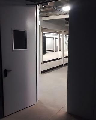 Ворота с окном в двери Ворота с окном в двери